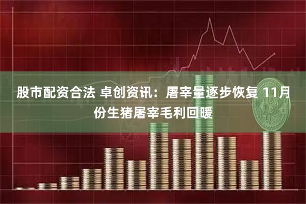 股市配资合法 卓创资讯：屠宰量逐步恢复 11月份生猪屠宰毛利回暖